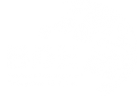 BDE2010-Logo-White